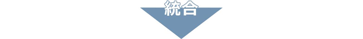 統合