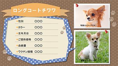ペット情報
