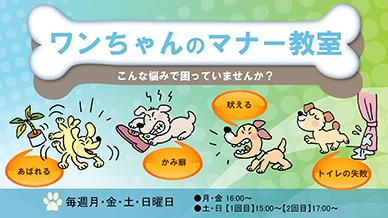 マナー教室