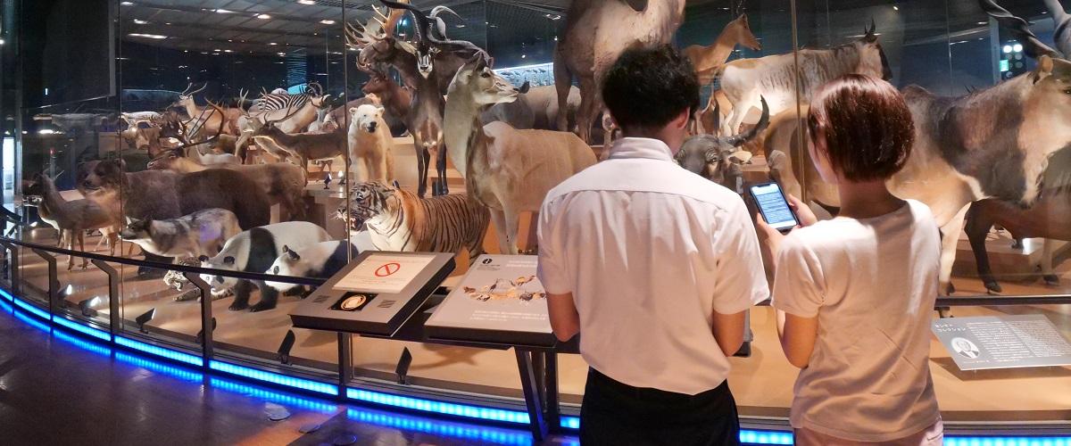 写真：国立科学博物館館内