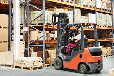 CYTIS Insight for Cargo