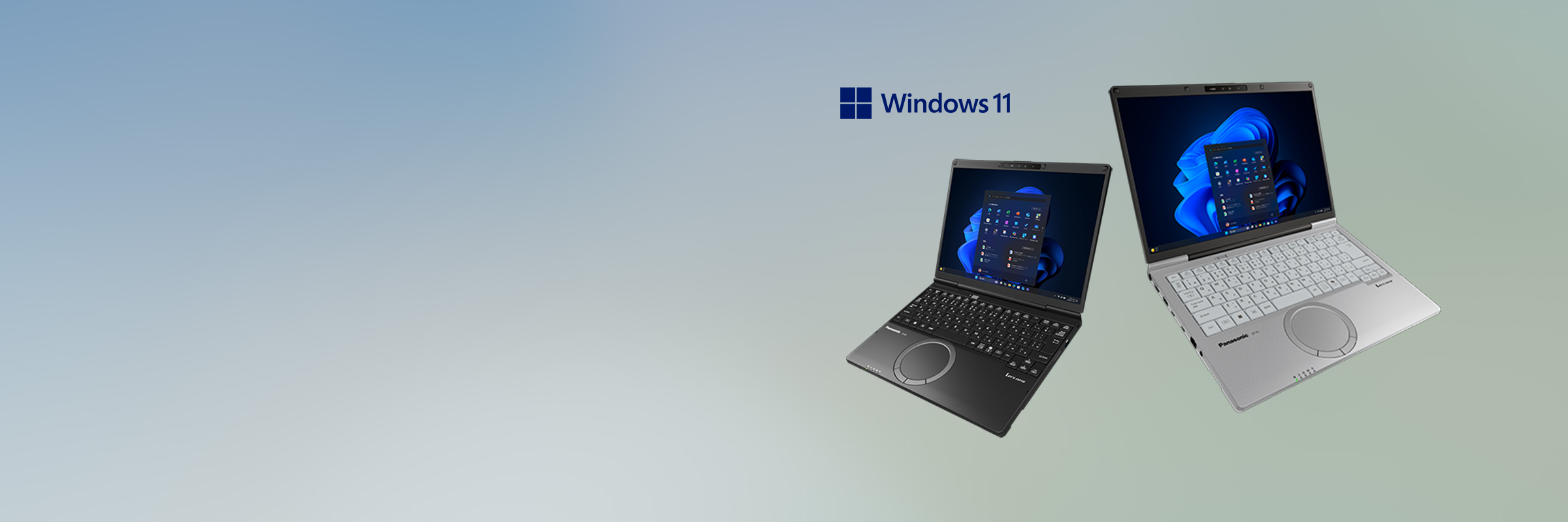 Windows 11