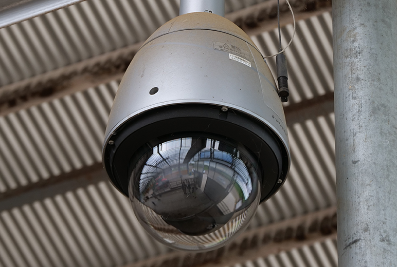 写真：牛舎の中に設置されたフルHD屋外ハウジング一体型ネットワークカメラWV-S6530NJ
